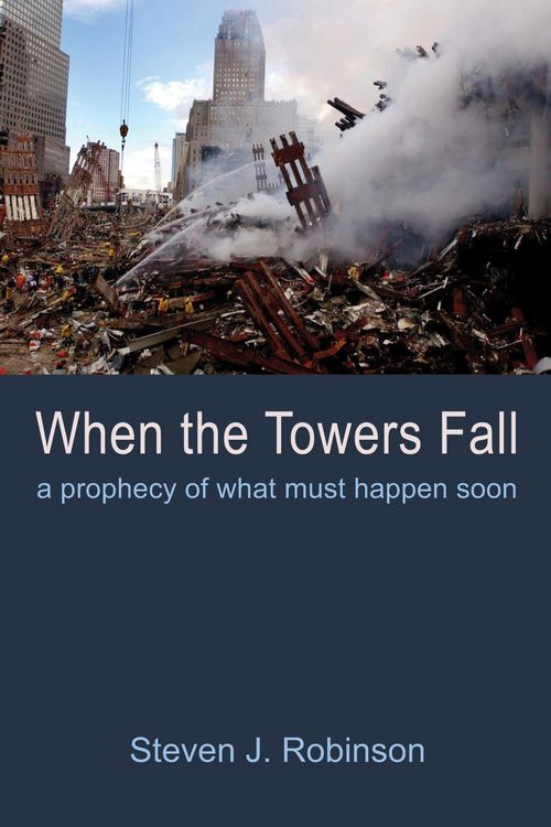 Produktbild: When the Towers Fall
