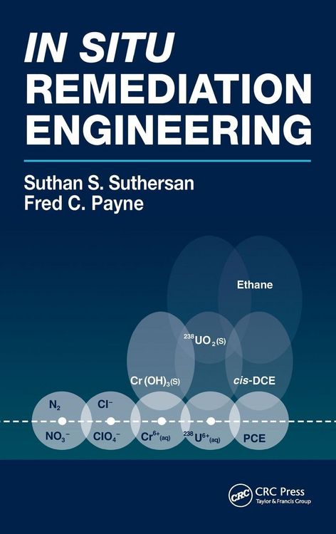 Produktbild: In Situ Remediation Engineering