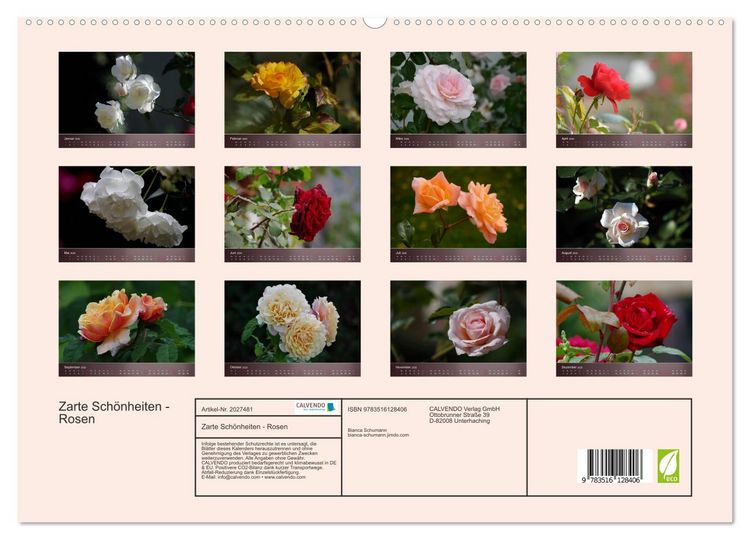 Produktbild: Zarte Sch&ouml;nheiten - Rosen (hochwertiger Premium Wandkalender 2026 DIN A2 quer), Kunstdruck in Hochglanz