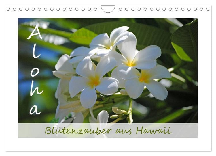 Produktbild: Aloha Bl&uuml;tenzauber aus Hawaii (Wandkalender 2026 DIN A4 quer), CALVENDO Monatskalender