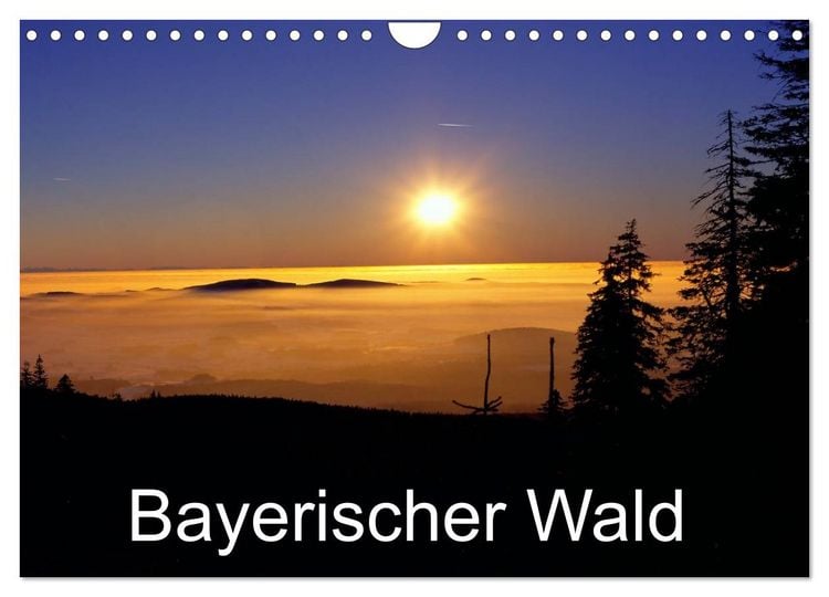 Produktbild: Bayerischer Wald (Wandkalender 2026 DIN A4 quer), CALVENDO Monatskalender