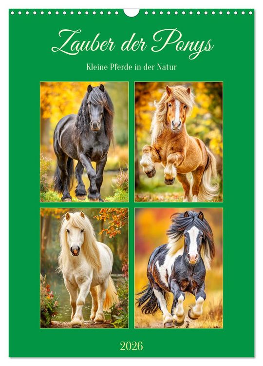 Produktbild: Zauber der Ponys. Kleine Pferde in der Natur (Wandkalender 2026 DIN A3 hoch), CALVENDO Monatskalender