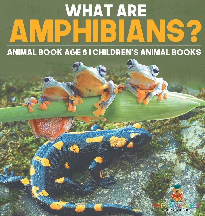 Produktbild: What are Amphibians? Animal Book Age 8 | Children's Animal Books