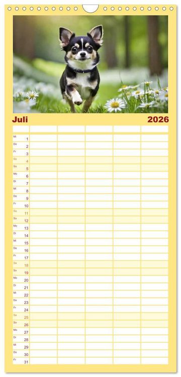 Produktbild: Familienplaner 2026 - Chihuahuas - Kleine Hunde - gro&szlig;e Temperamentb&uuml;ndel mit 5 Spalten (Wandkalender, 21 x 45 cm) CALVENDO