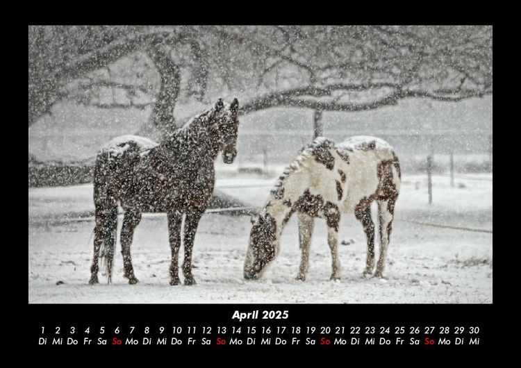 Produktbild: Winterzauber 2025 Fotokalender DIN A3
