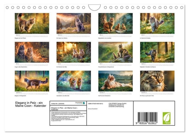 Produktbild: Eleganz in Pelz - ein Maine Coon - Kalender (Wandkalender 2027 DIN A4 quer), CALVENDO Monatskalender