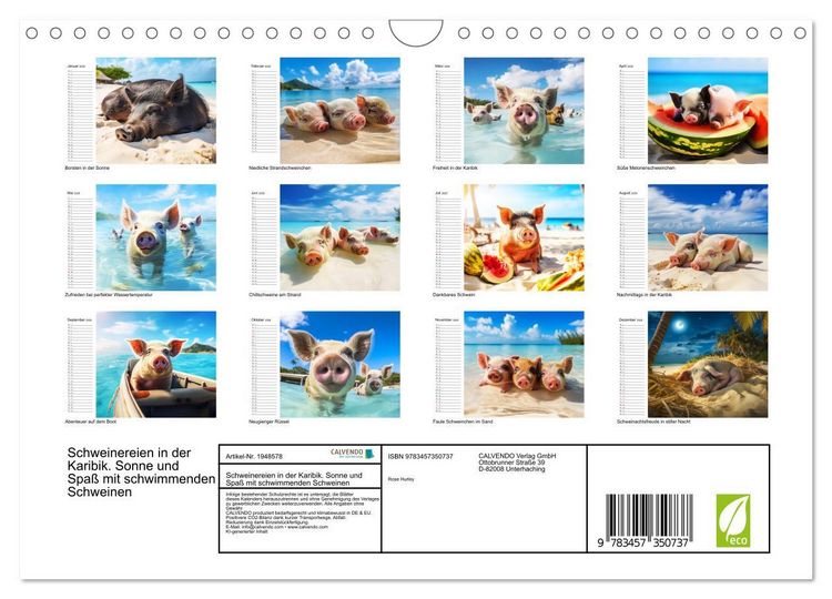 Produktbild: Schweinereien in der Karibik. Sonne und Spa&szlig; mit schwimmenden Schweinen (Wandkalender 2026 DIN A4 quer), CALVENDO Monatskalender