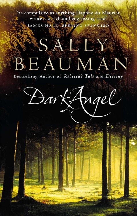 Produktbild: Dark Angel