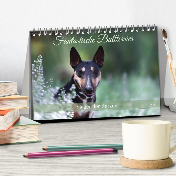 Produktbild: Fantastische Bullterrier - Sieger im Herzen (Tischkalender 2027 DIN A5 quer), CALVENDO Monatskalender