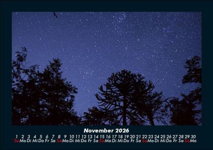Produktbild: B&auml;ume 2026 Fotokalender DIN A5