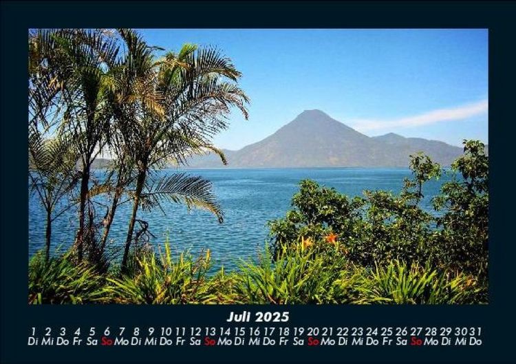 Produktbild: Palmentraum 2025 Fotokalender DIN A5