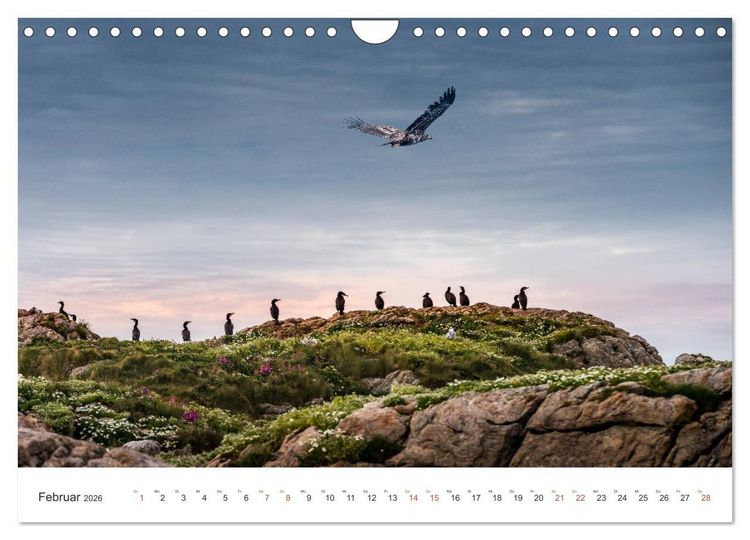 Produktbild: Nordland &ndash; Die Weite Skandinaviens (Wandkalender 2026 DIN A4 quer), CALVENDO Monatskalender
