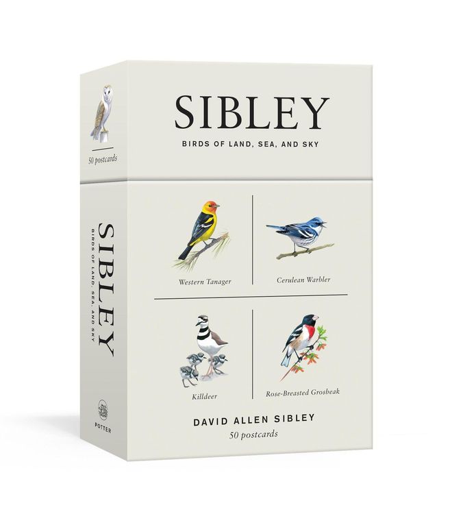 Produktbild: Sibley Birds of Land, Sea, and Sky