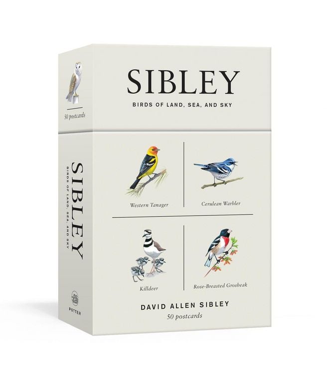 Produktbild: Sibley Birds of Land, Sea, and Sky