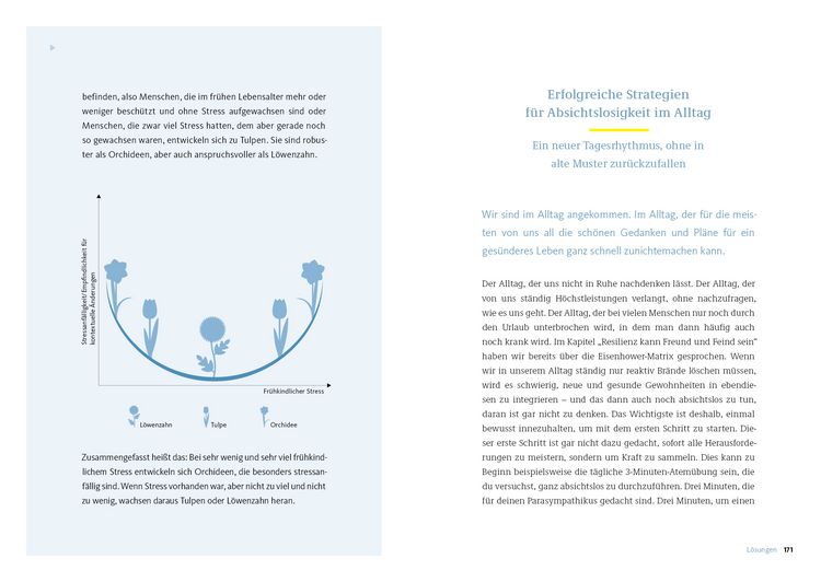 Produktbild: Die Strategie der Absichtslosigkeit