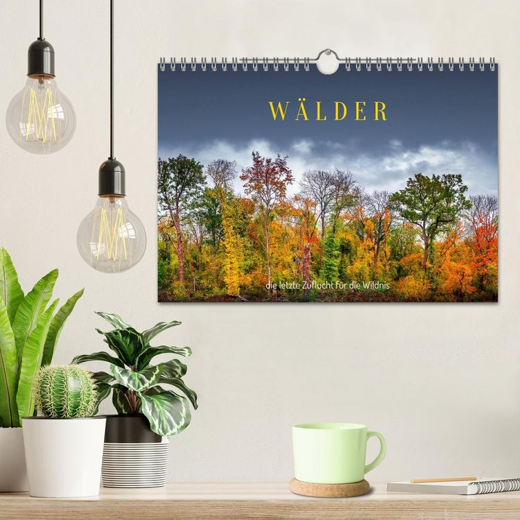 Produktbild: W&auml;lder: die letzte Zuflucht f&uuml;r die Wildnis (Wandkalender 2026 DIN A4 quer), CALVENDO Monatskalender