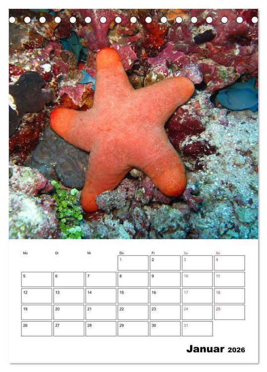 Produktbild: Zauberwelt. Fische, Korallen und Co. (Tischkalender 2026 DIN A5 hoch), CALVENDO Monatskalender