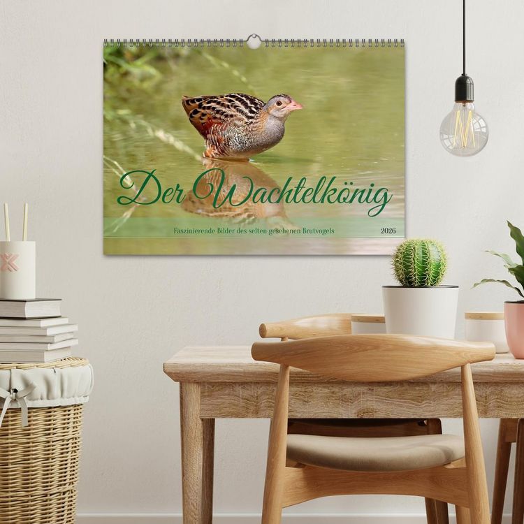 Produktbild: Der Wachtelk&ouml;nig (Wandkalender 2026 DIN A3 quer), CALVENDO Monatskalender