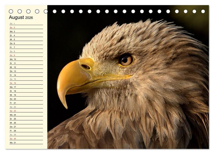 Produktbild: Greifv&ouml;gel (Tischkalender 2026 DIN A5 quer), CALVENDO Monatskalender