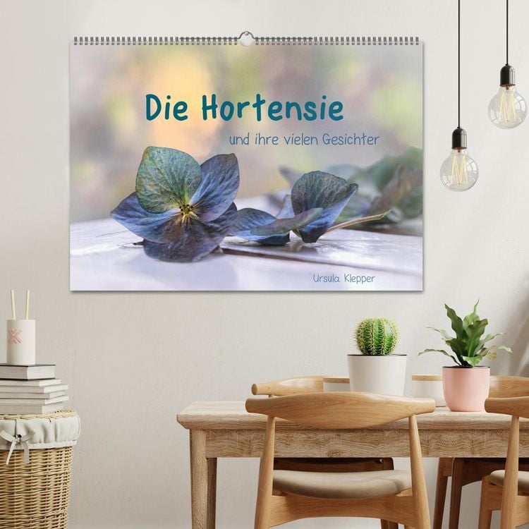 Produktbild: Die Hortensie und ihre vielen Gesichter (Wandkalender 2026 DIN A2 quer), CALVENDO Monatskalender