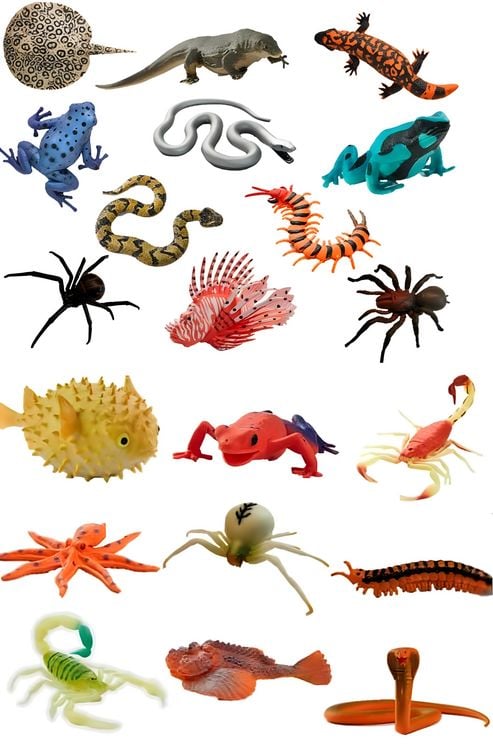 Produktbild: Toxic Creatures - giftige Tiere zum Sammeln - Planet WOW