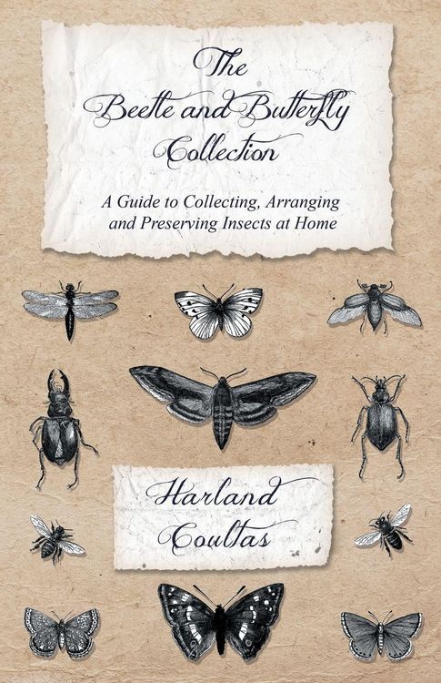 Produktbild: The Beetle and Butterfly Collection - A Guide to Collecting, Arranging and Preserving Insects at Home