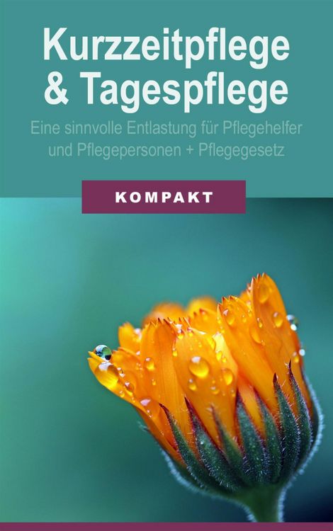 Produktbild: Kurzzeitpflege & Tagespflege - Eine sinnvolle Entlastung f&uuml;r Pflegehelfer & Pflegepersonen + Pflegegesetz 2017
