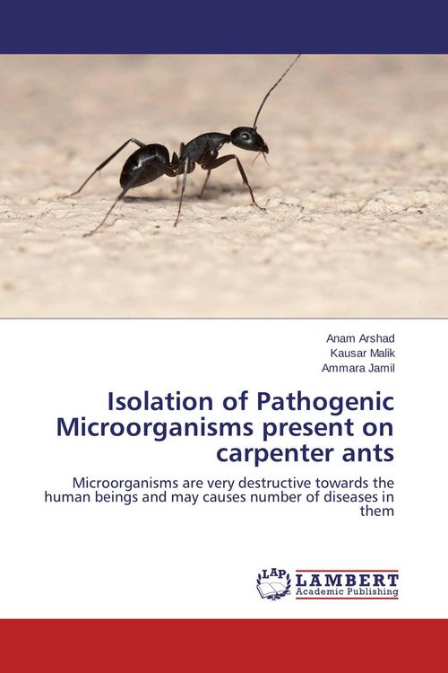Produktbild: Isolation of Pathogenic Microorganisms present on carpenter ants