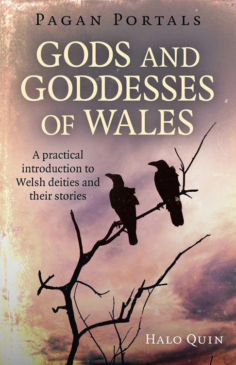 Produktbild: Pagan Portals - Gods and Goddesses of Wales