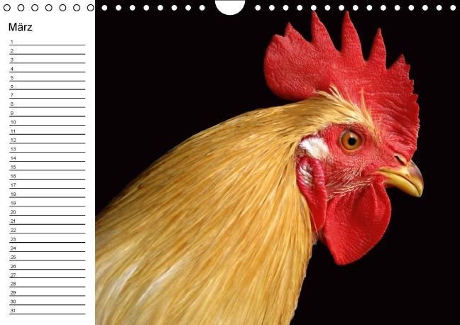 Produktbild: H&uuml;hner / Geburtstagskalender (Wandkalender immerw&auml;hrend DIN A4 quer)