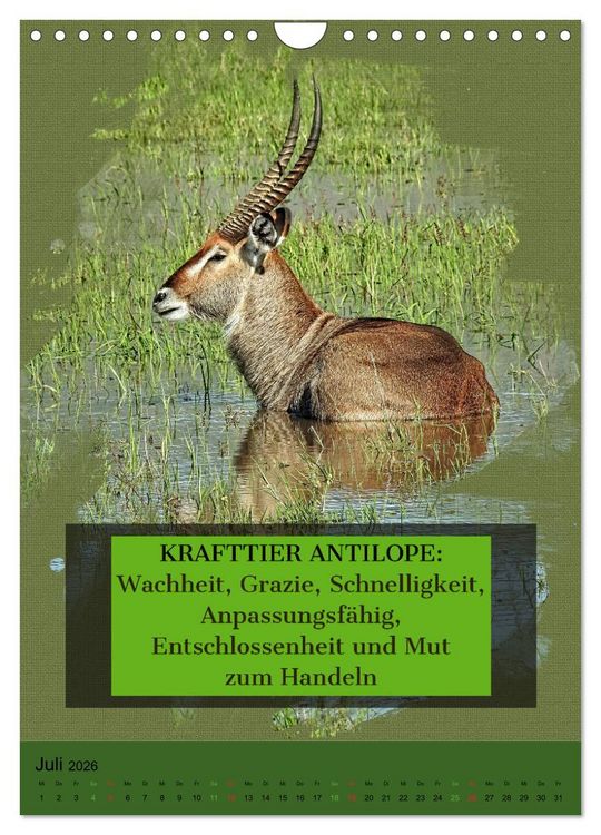 Produktbild: Afrikanische Krafttiere und deren Bedeutung (Wandkalender 2026 DIN A4 hoch), CALVENDO Monatskalender
