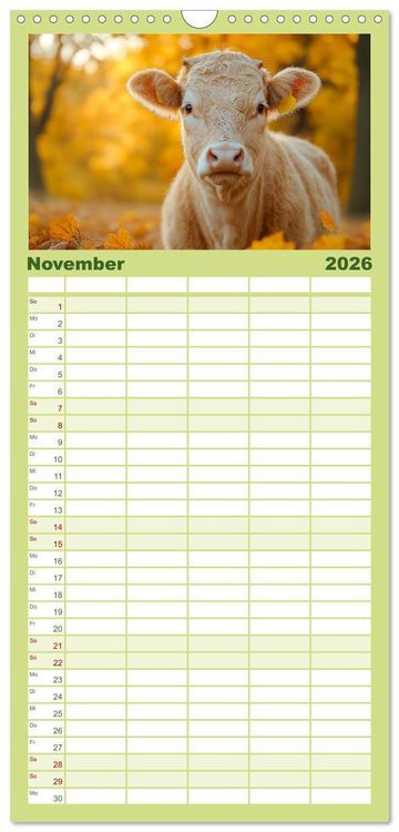 Produktbild: Familienplaner 2026 - K&Uuml;HE AUF DER ALM &ndash; Der Kalender aus Bayern mit 5 Spalten (Wandkalender, 21 x 45 cm) CALVENDO