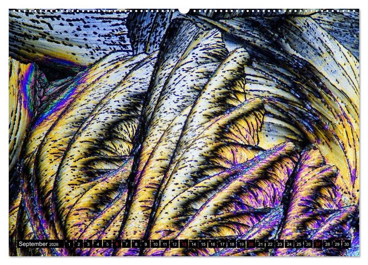 Produktbild: Mikrokristalle in polarisiertem Licht (hochwertiger Premium Wandkalender 2026 DIN A2 quer), Kunstdruck in Hochglanz