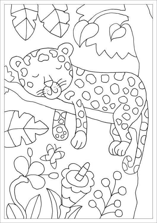 Produktbild: Erster Malblock. Wilde Tiere