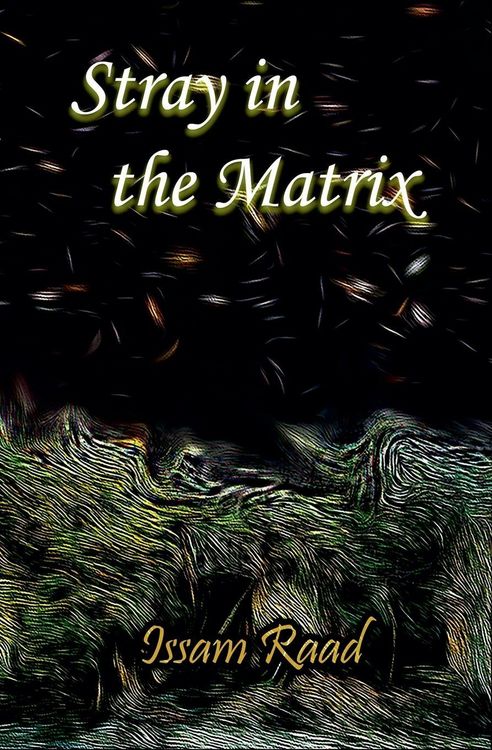 Produktbild: Stray in the Matrix