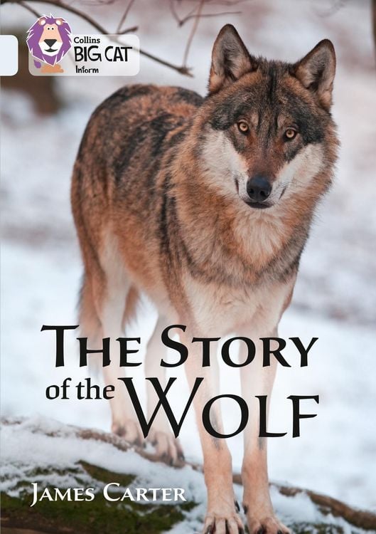 Produktbild: BIG CAT - STORY OF THE WOLF
