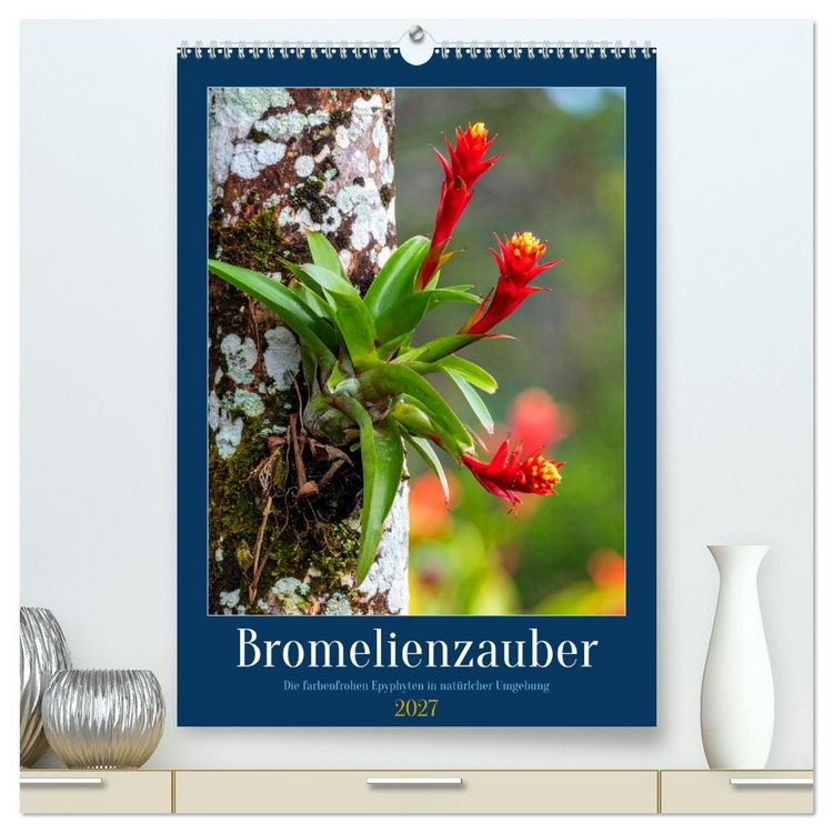 Produktbild: Bromelienzauber (hochwertiger Premium Wandkalender 2027 DIN A2 hoch), Kunstdruck in Hochglanz
