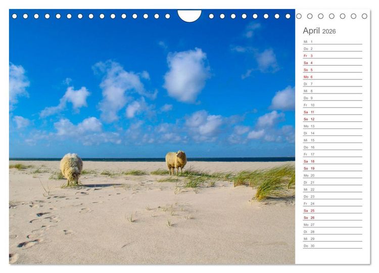 Produktbild: Nodseeinsel Sylt - Impressionen der beliebtesten Insel Deutschlands (Wandkalender 2026 DIN A4 quer), CALVENDO Monatskalender