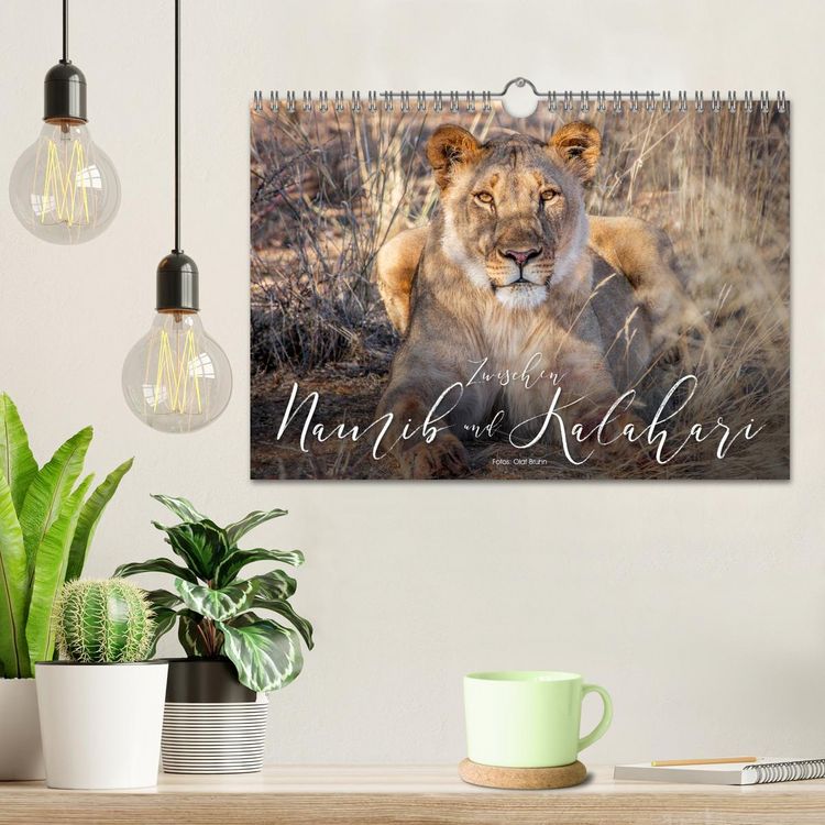 Produktbild: Zwischen Namib und Kalahari (Wandkalender 2026 DIN A4 quer), CALVENDO Monatskalender