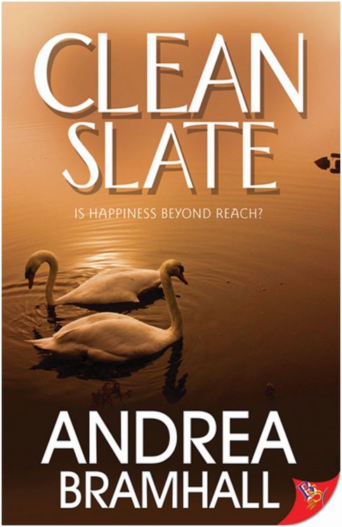Produktbild: Clean Slate