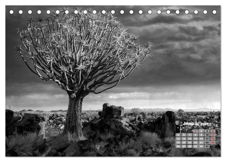 Produktbild: Namibia schwarzwei&szlig; (Tischkalender 2026 DIN A5 quer), CALVENDO Monatskalender