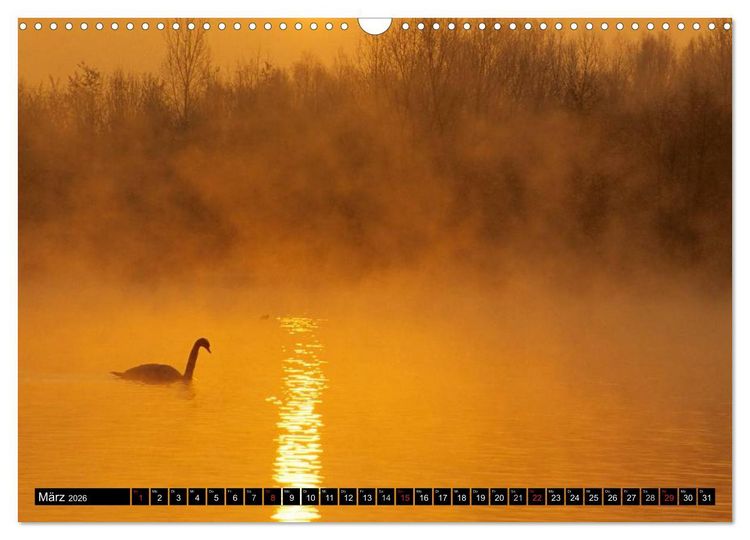 Produktbild: SCHW&Auml;NE. (Wandkalender 2026 DIN A3 quer), CALVENDO Monatskalender