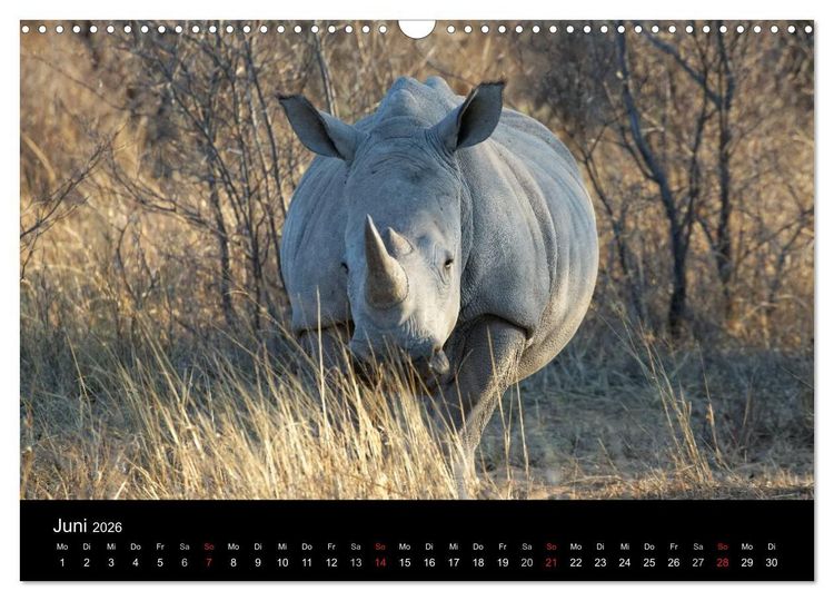 Produktbild: Naturerlebnis Botswana (Wandkalender 2026 DIN A3 quer), CALVENDO Monatskalender