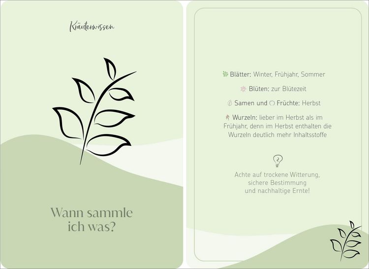 Produktbild: Dein Weg zu Selfcare aus der Natur