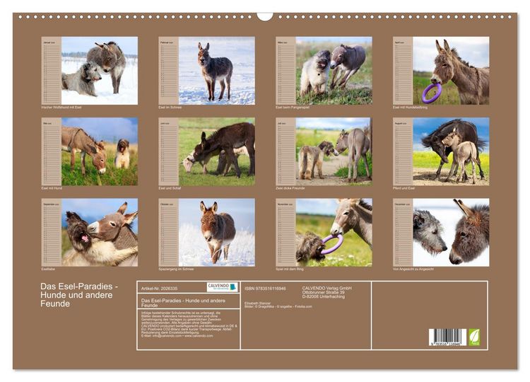 Produktbild: Das Esel-Paradies - Hunde und andere Feunde (Wandkalender 2026 DIN A2 quer), CALVENDO Monatskalender