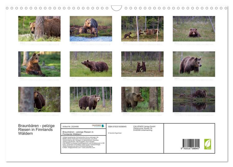 Produktbild: Braunb&auml;ren - pelzige Riesen in Finnlands W&auml;ldern (Wandkalender 2026 DIN A3 quer), CALVENDO Monatskalender