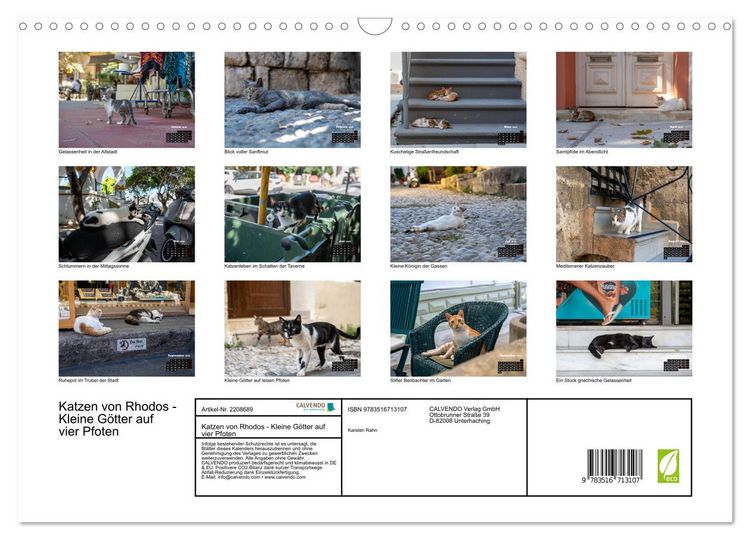 Produktbild: Katzen von Rhodos - Kleine G&ouml;tter auf vier Pfoten (Wandkalender 2026 DIN A3 quer), CALVENDO Monatskalender