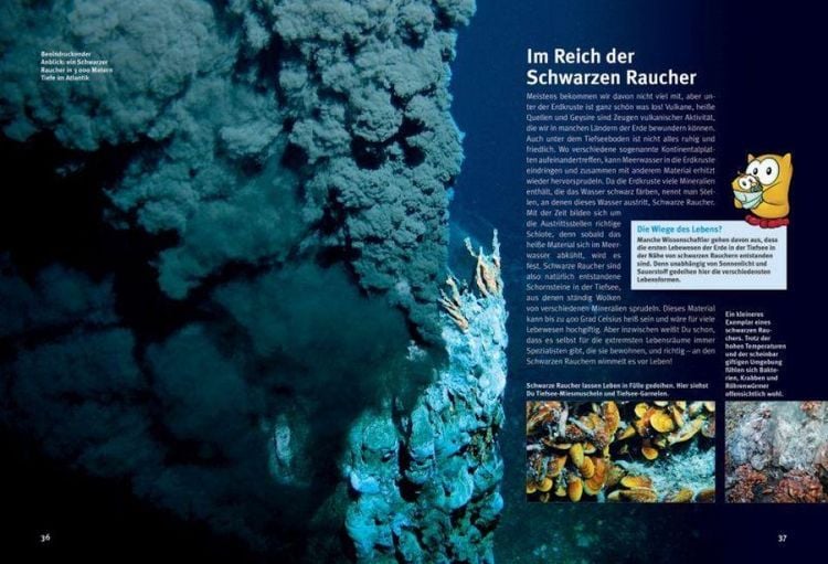 Produktbild: Entdecke die Tiefsee