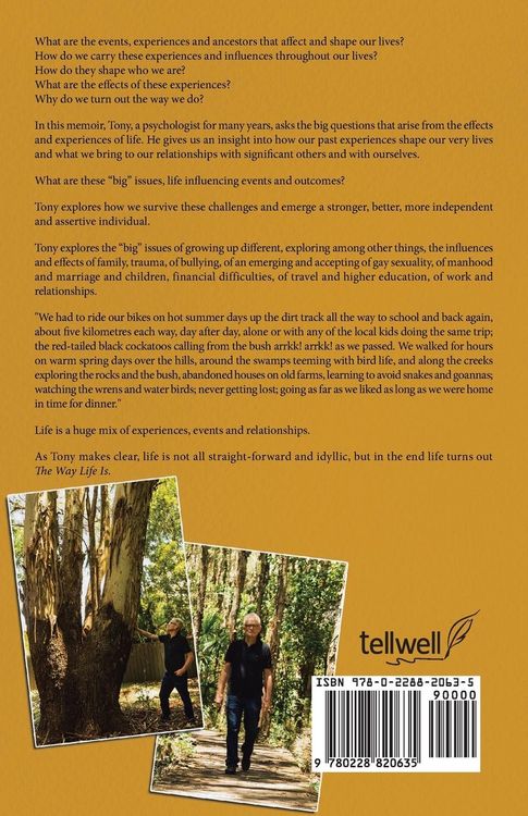Produktbild: The Way Life Is