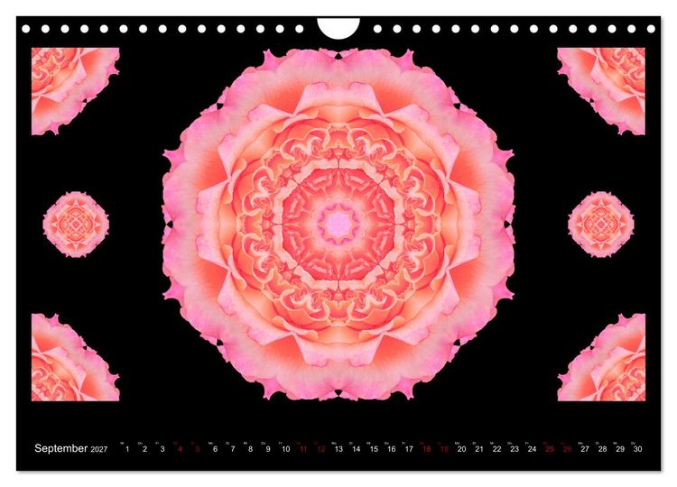 Produktbild: ROSEN MANDALAS (Wandkalender 2027 DIN A4 quer), CALVENDO Monatskalender